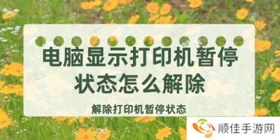 电脑显示打印机暂停状态怎么解除 解除打印机暂停状态