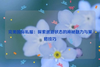 完美国际私服：探索退避状态的神秘魅力与策略技巧