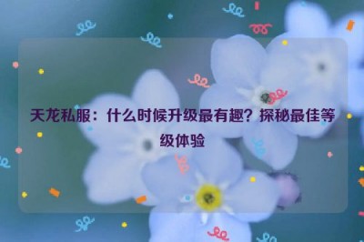 天龙私服：什么时候升级最有趣？探秘最佳等级体验