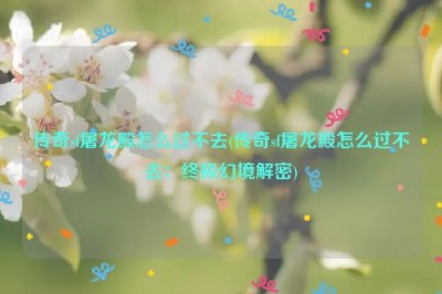 传奇sf屠龙殿怎么过不去(传奇sf屠龙殿怎么过不去：终极幻境解密)