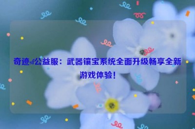 奇迹sf公益服：武器镶宝系统全面升级畅享全新游戏体验！