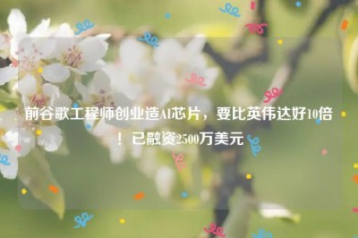 前谷歌工程师创业造AI芯片，要比英伟达好10倍！已融资2500万美元