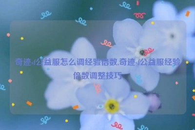 奇迹sf公益服怎么调经验倍数,奇迹sf公益服经验倍数调整技巧