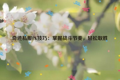 奇迹sfPK技巧：掌握战斗节奏，轻松取胜