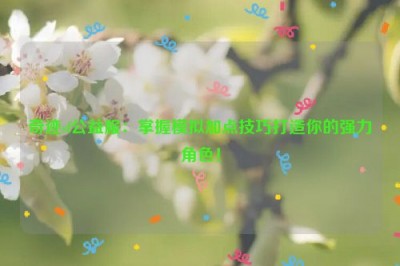 奇迹sf公益服：掌握模拟加点技巧打造你的强力角色！