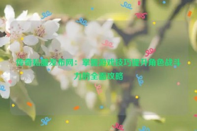 传奇私服发布网：掌握游戏技巧提升角色战斗力的全面攻略