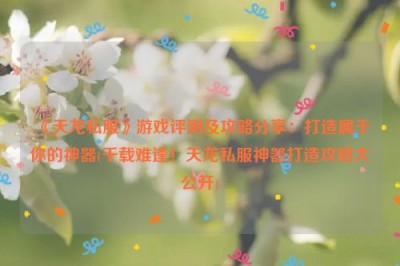 《天龙私服》游戏评测及攻略分享：打造属于你的神器(千载难逢！天龙私服神器打造攻略大公开)