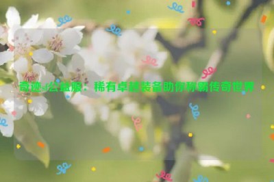 奇迹sf公益服：稀有卓越装备助你称霸传奇世界