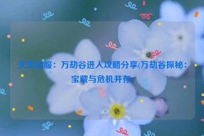 天龙私服：万劫谷进入攻略分享(万劫谷探秘：宝藏与危机并存)