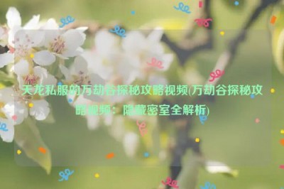 天龙私服的万劫谷探秘攻略视频(万劫谷探秘攻略视频：隐藏密室全解析)