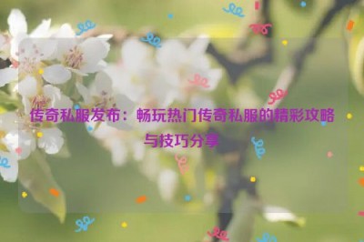 传奇私服发布：畅玩热门传奇私服的精彩攻略与技巧分享