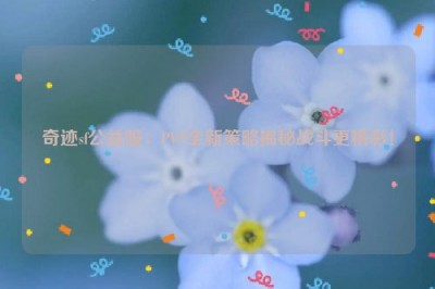 奇迹sf公益服：PVP全新策略揭秘战斗更精彩！