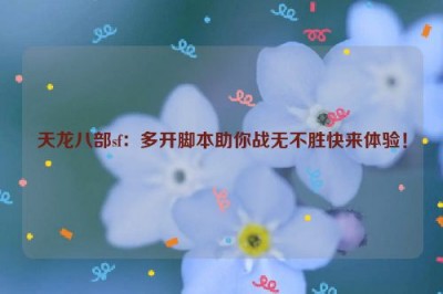 天龙八部sf：多开脚本助你战无不胜快来体验！