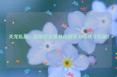 天龙私服：英雄套全面升级畅享无尽战斗乐趣！