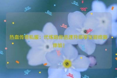 热血传奇私服：代练助你迅速升级享受游戏新体验！