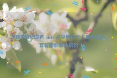 涉嫌未经同意向 Meta 共享用户个人身份信息，育碧面临集体诉讼