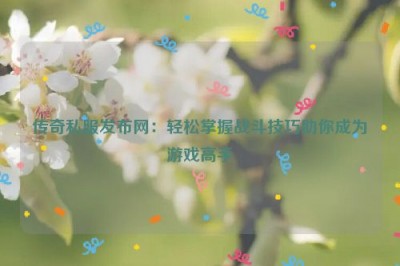 传奇私服发布网：轻松掌握战斗技巧助你成为游戏高手