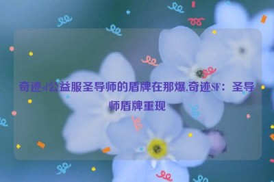 奇迹sf公益服圣导师的盾牌在那爆,奇迹SF：圣导师盾牌重现