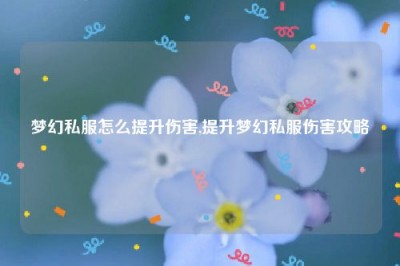 梦幻私服怎么提升伤害,提升梦幻私服伤害攻略