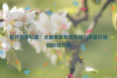 新开传奇私服：全面掌握职业技能与装备打造的游戏攻略