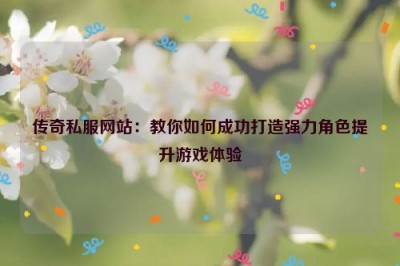 传奇私服网站：教你如何成功打造强力角色提升游戏体验