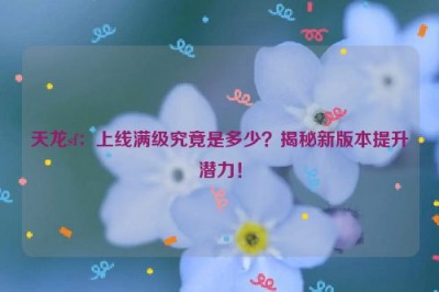 天龙sf：上线满级究竟是多少？揭秘新版本提升潜力！