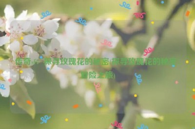 传奇sf：探寻玫瑰花的秘密(探寻玫瑰花的秘密：冒险之旅)