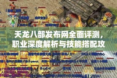 天龙八部发布网全面评测，职业深度解析与技能搭配攻略