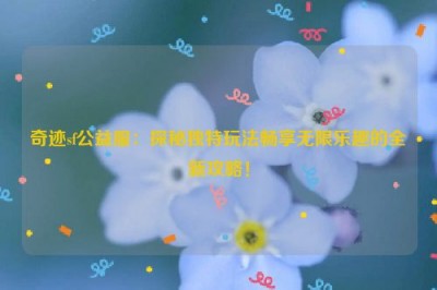 奇迹sf公益服：探秘独特玩法畅享无限乐趣的全新攻略！