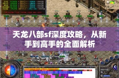 天龙八部sf深度攻略，从新手到高手的全面解析