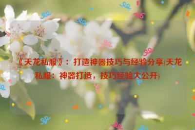 《天龙私服》：打造神器技巧与经验分享(天龙私服：神器打造，技巧经验大公开)