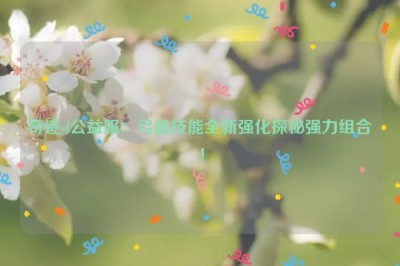 奇迹sf公益服：弓箭技能全新强化探秘强力组合！