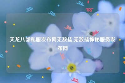 天龙八部私服发布网无敌挂,无敌挂神秘服务发布网