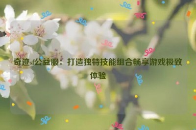 奇迹sf公益服：打造独特技能组合畅享游戏极致体验