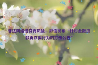 非法网络借贷有风险，微信发布“针对金融贷款类诈骗行为的打击公告”