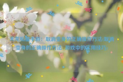 天龙私服手游：取消变身的正确操作方法(取消变身的正确操作方法  游戏中的实用技巧)