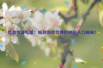 热血传奇私服：畅游游戏世界的秘密入口揭秘！