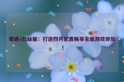 奇迹sf公益服：打造四开配置畅享全新游戏体验！