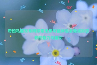 奇迹私服发布网探索无限可能体验全新虚拟世界的魅力与精彩