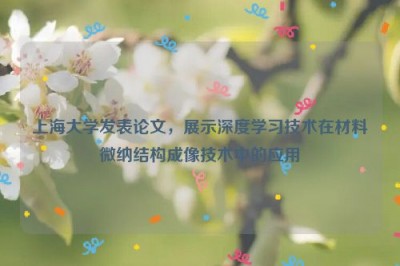 上海大学发表论文，展示深度学习技术在材料微纳结构成像技术中的应用