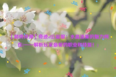 【游戏评测】奇迹sf公益服：水晶流星的魅力所在(——解析玩家最爱的职业和技能！)