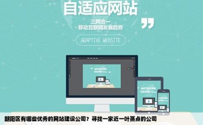 朝阳区有哪些优秀的网站建设公司？寻找一家近一叶蒸点的公司