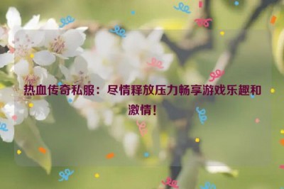 热血传奇私服：尽情释放压力畅享游戏乐趣和激情！