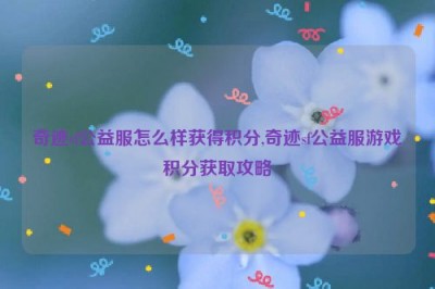 奇迹sf公益服怎么样获得积分,奇迹sf公益服游戏积分获取攻略