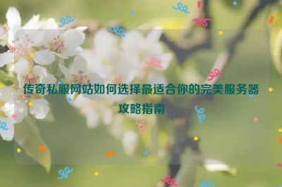 传奇私服网站如何选择最适合你的完美服务器攻略指南