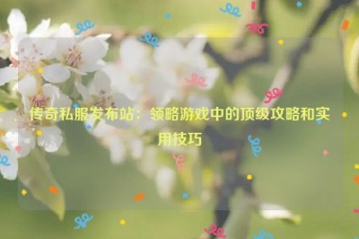 传奇私服发布站：领略游戏中的顶级攻略和实用技巧