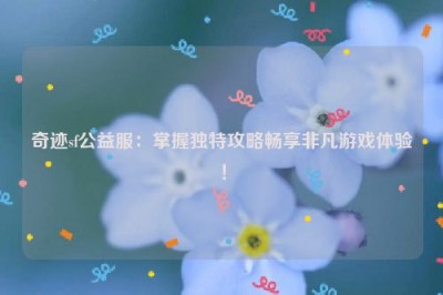 奇迹sf公益服：掌握独特攻略畅享非凡游戏体验！