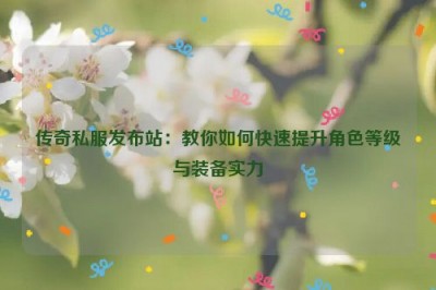 传奇私服发布站：教你如何快速提升角色等级与装备实力