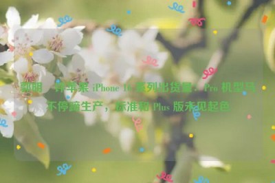 郭明錤评苹果 iPhone 16 系列出货量：Pro 机型马不停蹄生产，标准和 Plus 版未见起色