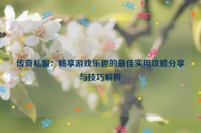 传奇私服：畅享游戏乐趣的最佳实用攻略分享与技巧解析